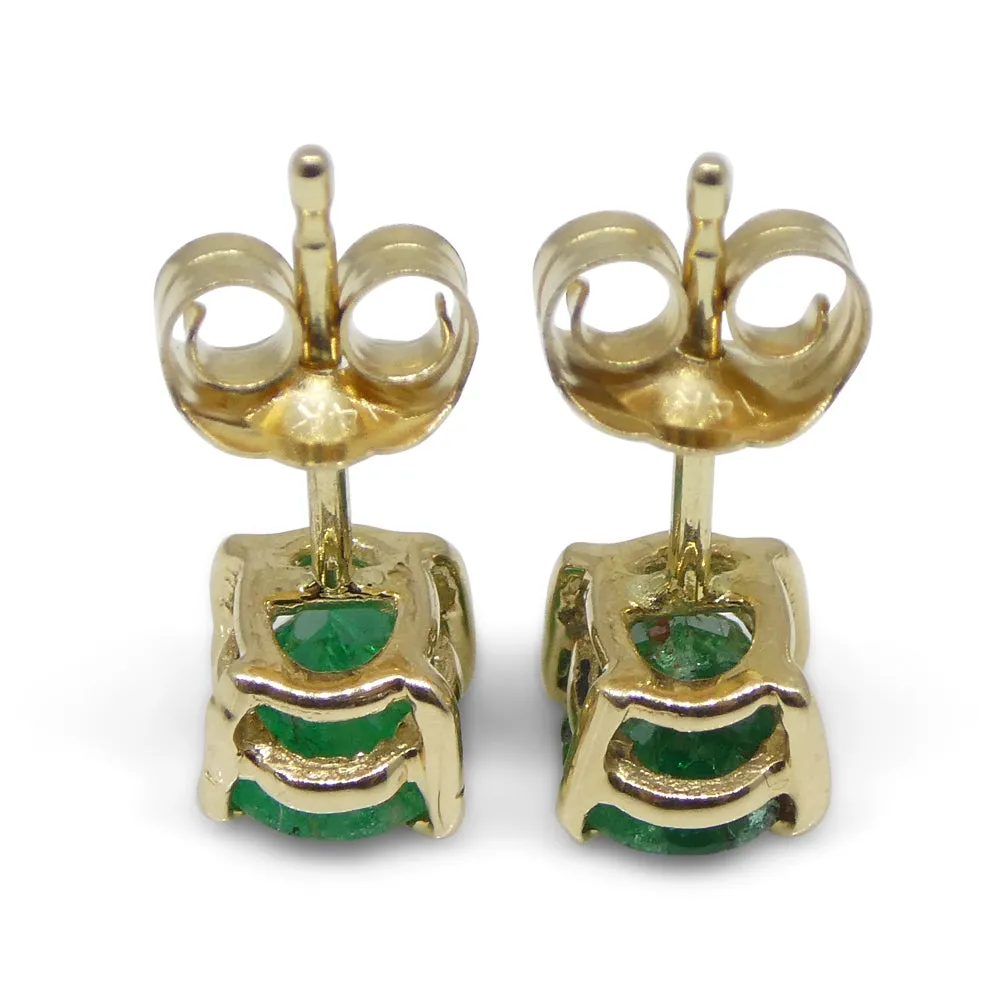 1.03ct Oval Green Colombian Emerald Stud Earrings set in 14k Yellow Gold