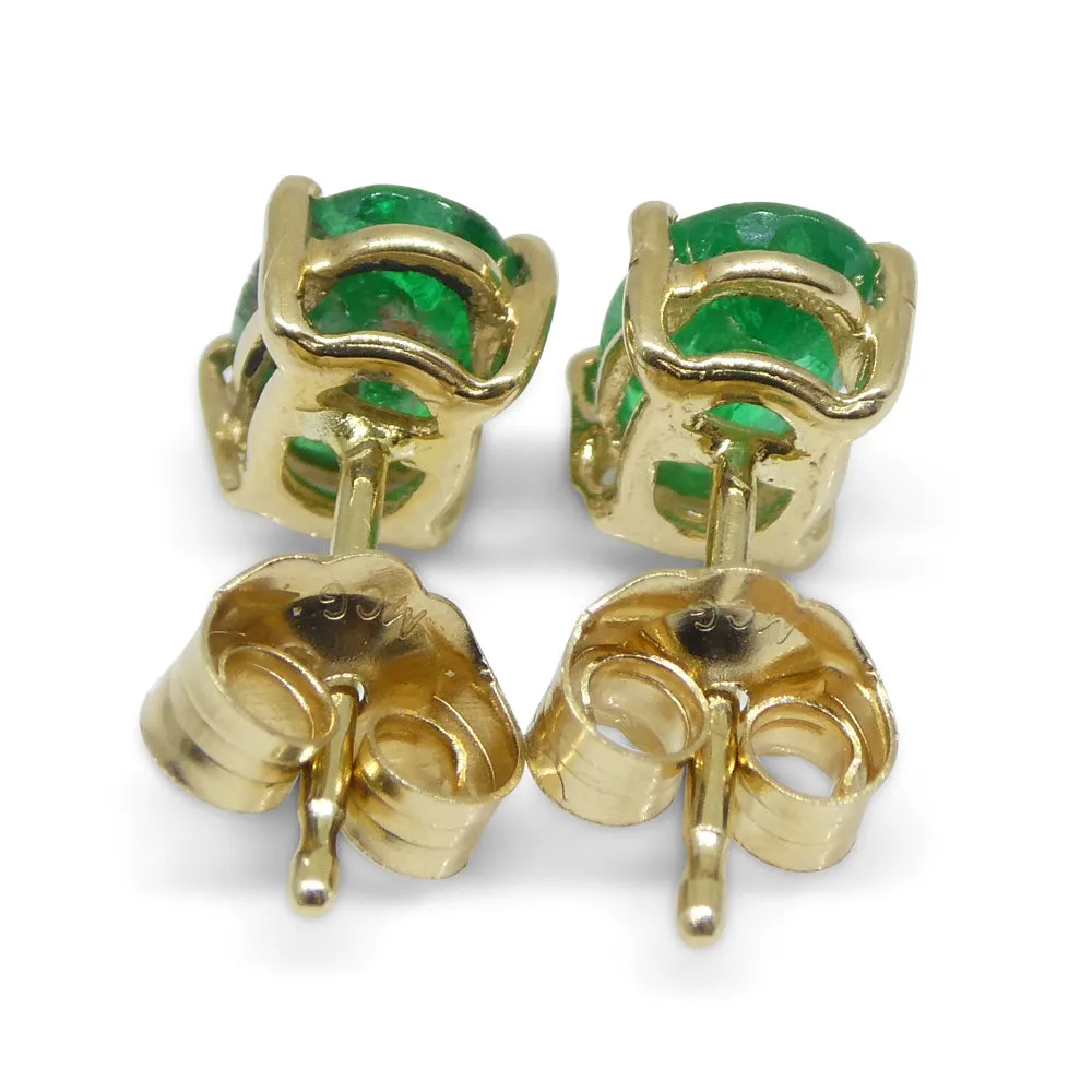 1.03ct Oval Green Colombian Emerald Stud Earrings set in 14k Yellow Gold