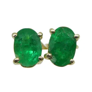 1.03ct Oval Green Colombian Emerald Stud Earrings set in 14k Yellow Gold