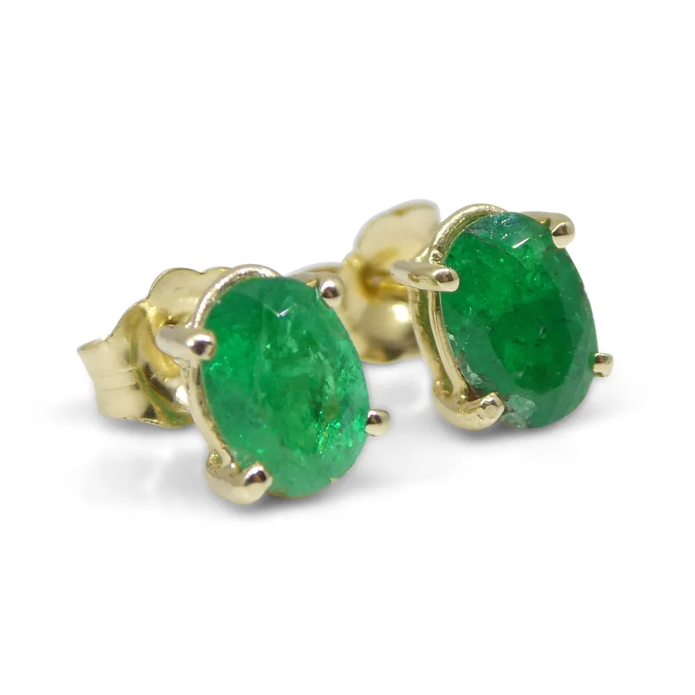 1.03ct Oval Green Colombian Emerald Stud Earrings set in 14k Yellow Gold