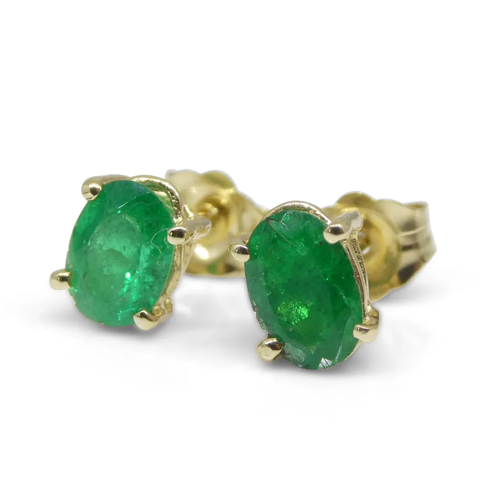 1.03ct Oval Green Colombian Emerald Stud Earrings set in 14k Yellow Gold