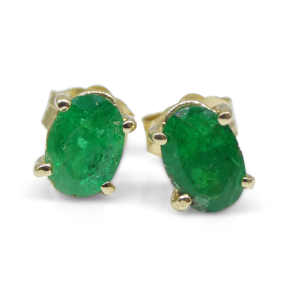 1.03ct Oval Green Colombian Emerald Stud Earrings set in 14k Yellow Gold