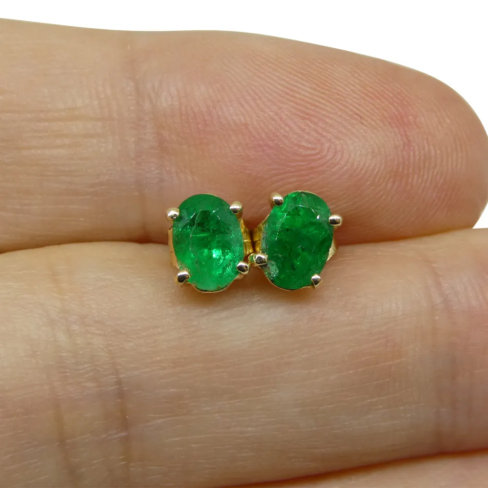 1.03ct Oval Green Colombian Emerald Stud Earrings set in 14k Yellow Gold