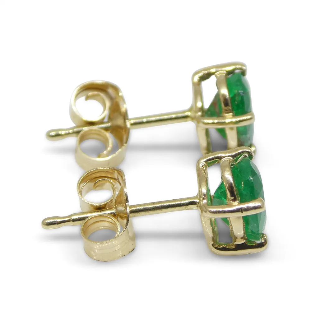 1.03ct Oval Green Colombian Emerald Stud Earrings set in 14k Yellow Gold