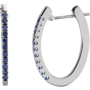 14k White Gold 20x14.5mm Sapphire Hoop Earrings