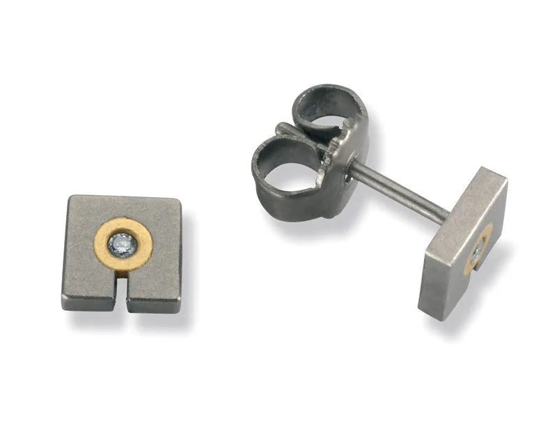 24036-01 TeNo Titanium Earrings