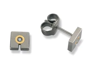 24036-01 TeNo Titanium Earrings