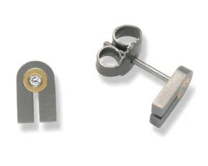 24042-01 TeNo Titanium Earrings
