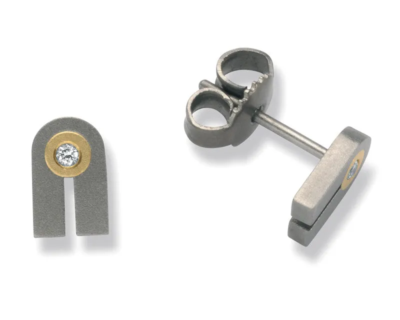 24042-01 TeNo Titanium Earrings