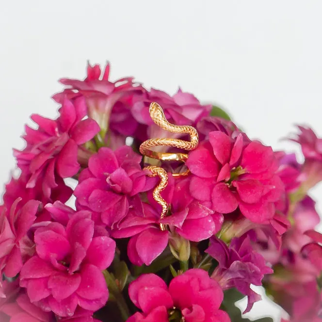Ear Cuff Snake in Gold Vermeil (no piercing needed)