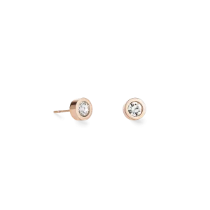Earrings Crystal & stainless steel crystal