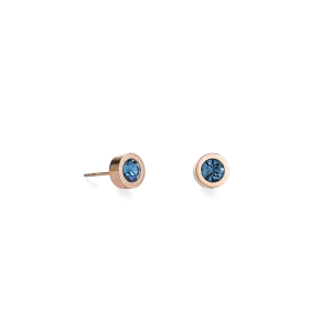 Earrings Crystal & stainless steel rose gold petrol