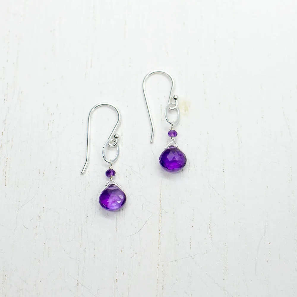 February Birthstone Silver Earrings