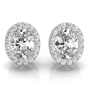 Halo Oval Platinum Moissanite Basket Stud Earrings