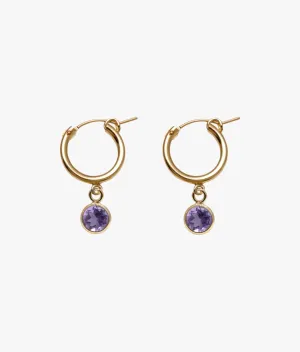 Lever hoop earrings (15mm) with round amethyst