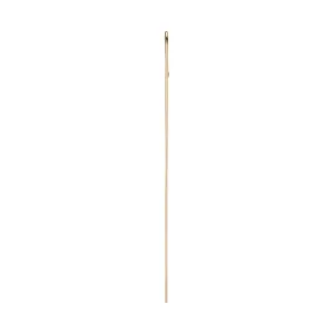 Master Needle Earring