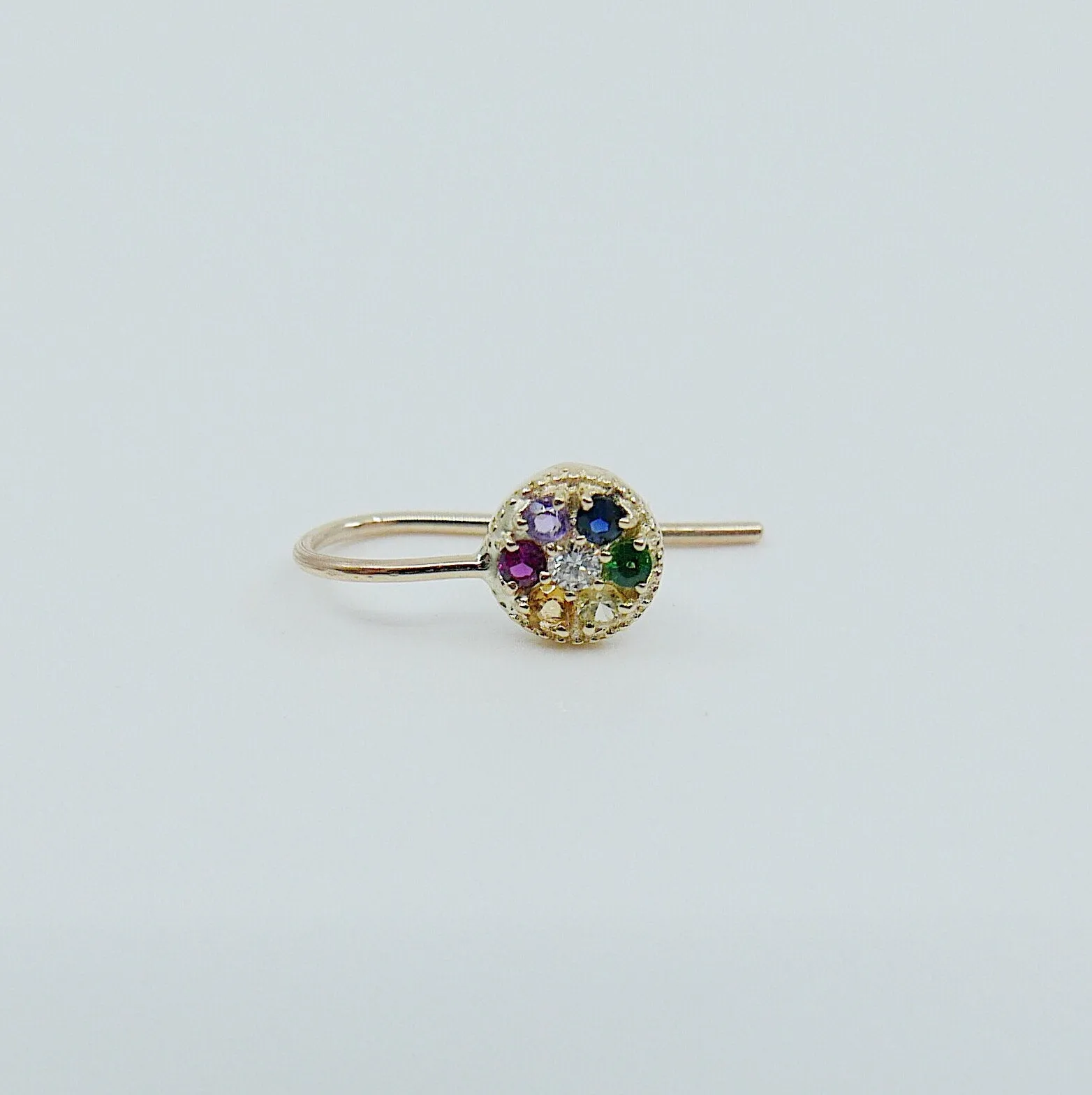 Painter's Palette Earring
