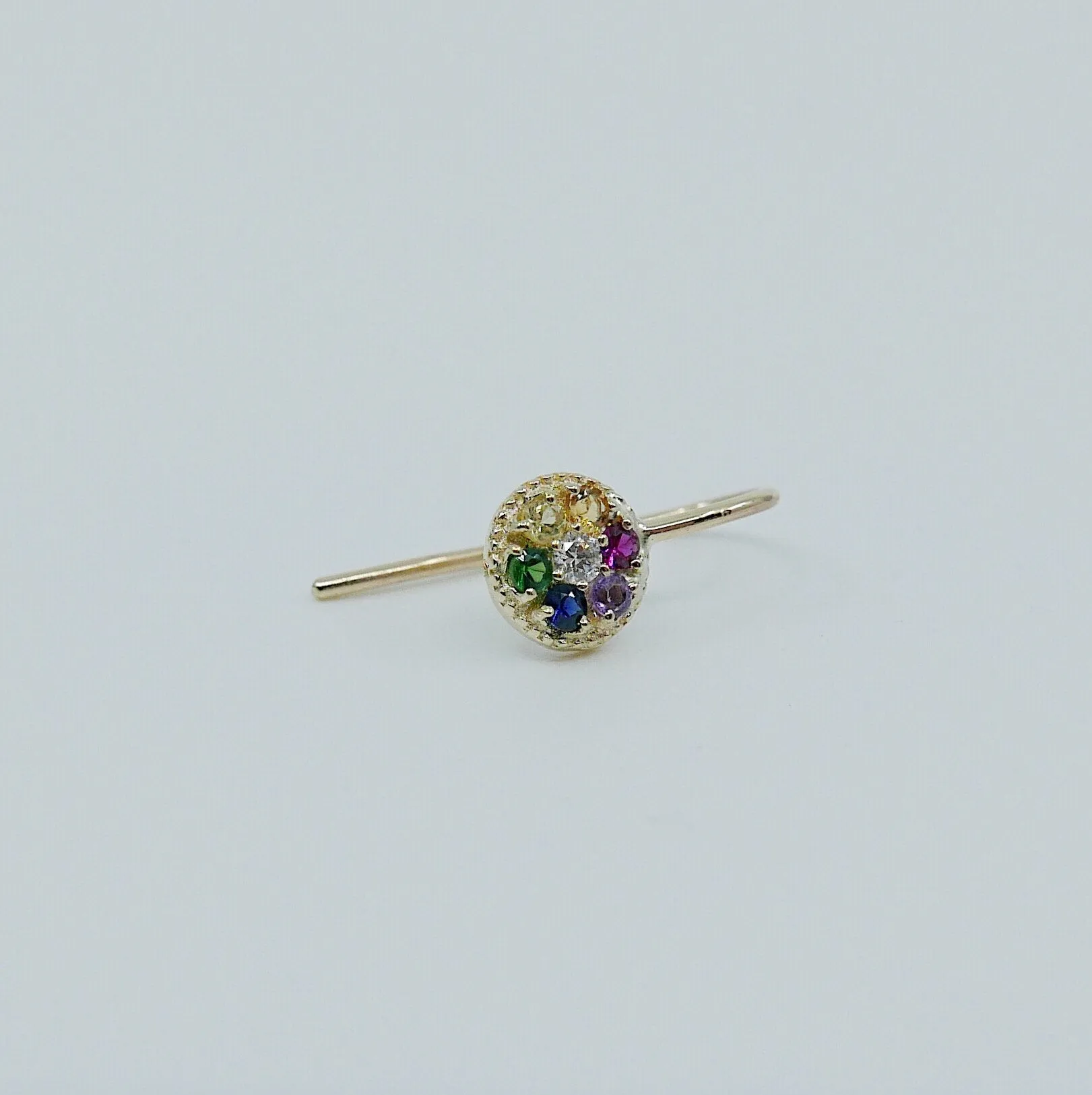 Painter's Palette Earring