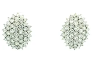 Platinum Natural Diamond Earrings