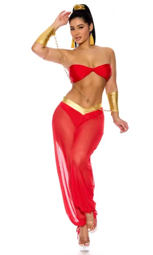 Sexy Harem Royal Halloween Costume