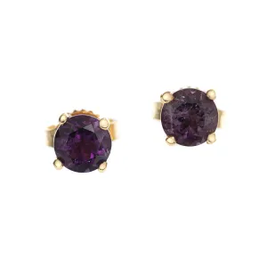 Solitaire Studs in Gold